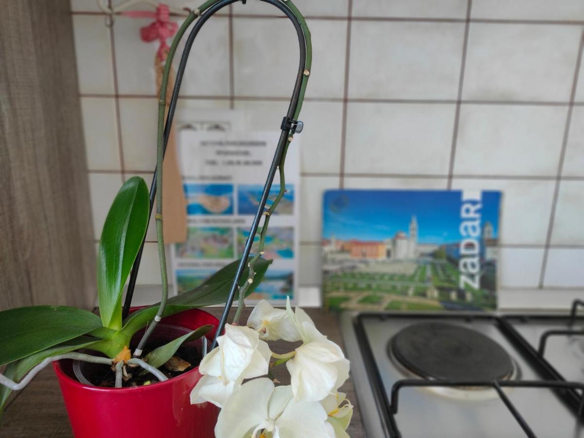 The Nice Dreams Studio Apartment Zadar Ngoại thất bức ảnh